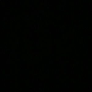 Meet your Posher, Cassidy